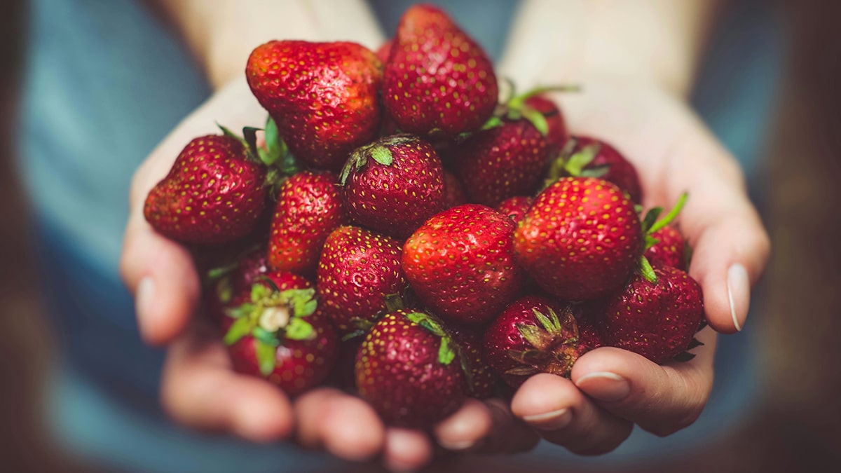 ramener alimentaire etranger sans risquer loi